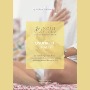 Online - Ausbildung 2. Grad Usui Reiki