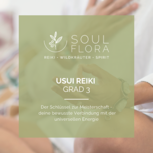 Online - Ausbildung 3. Grad Usui Reiki