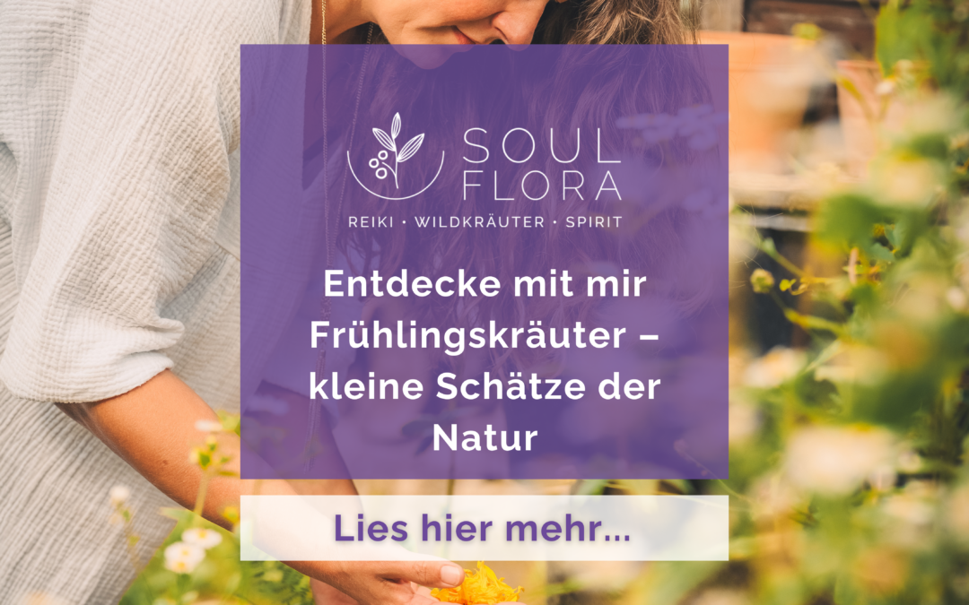 Frühlingskräuter – Schätze der Natur